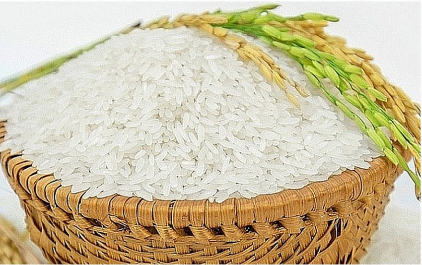 Gạo / Rice